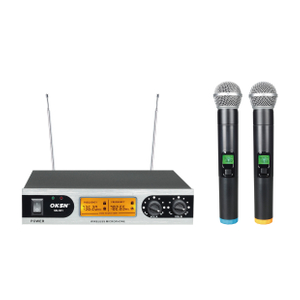 SN-301 teaching karaoke wireless microphone